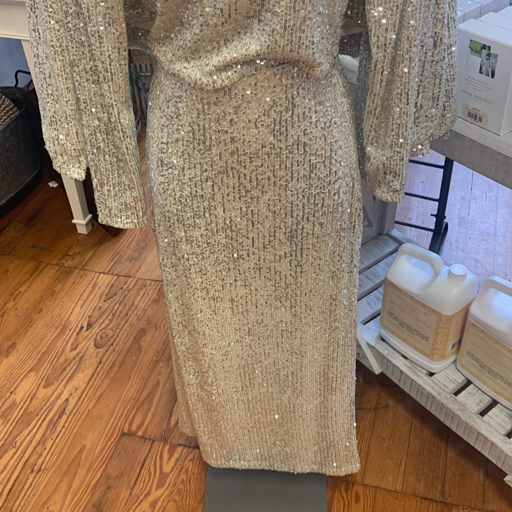 Z Supply Saturn sequin MIDI Skirt